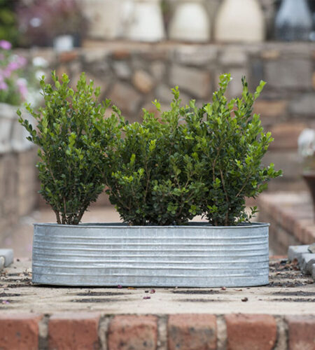 B1001 - Oval, Galvinised Steel - 7 Striped Tin (Without Handles)2