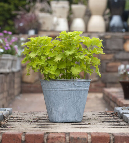 H1008 - Standard (L) Bucket with Scollop Pattern and 2 Stripes1