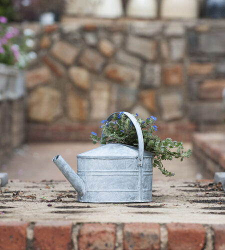 W1004 - Water Can with Handle (Top Attached- Half-moon Lid)2
